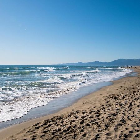 Beautiful Apartment 200M From Beach Canet-en-Roussillon Eksteriør bilde