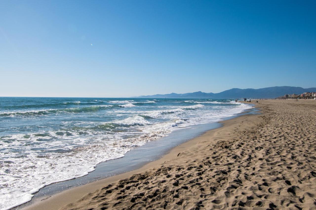 Beautiful Apartment 200M From Beach Canet-en-Roussillon Eksteriør bilde